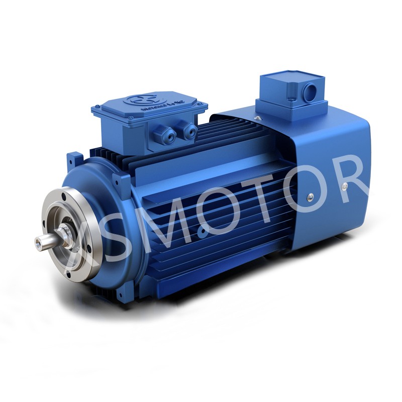 減速機(jī)專用直聯(lián)式變頻調(diào)速電動機(jī)